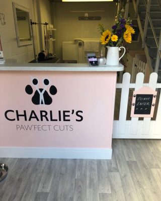 Charlie's Paw'fect Cuts Salon